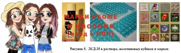 индика Семилуки