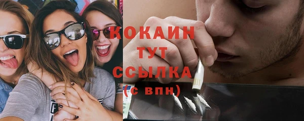 индика Семилуки