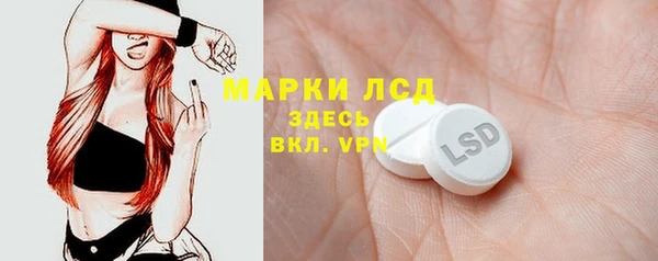 индика Семилуки