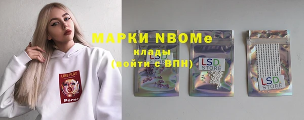 индика Семилуки