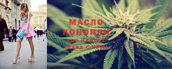 индика Семилуки