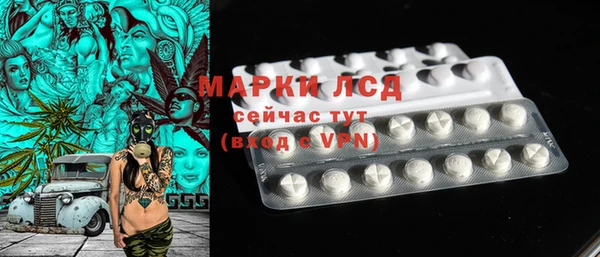 индика Семилуки