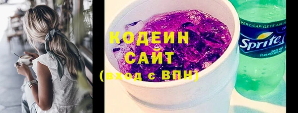 индика Семилуки