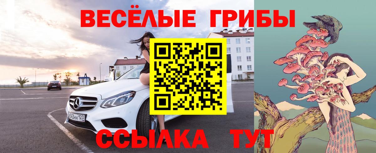 Соль-Илецк  Псилоцибиновые грибы Magic Shrooms  Вход с VPN  Псилоцибиновые грибы MAGIC MUSHROOMS 