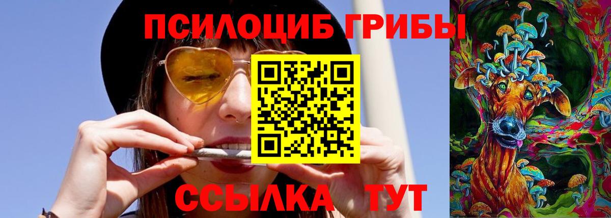 Галлюциногенные грибы GOLDEN TEACHER Соль-Илецк